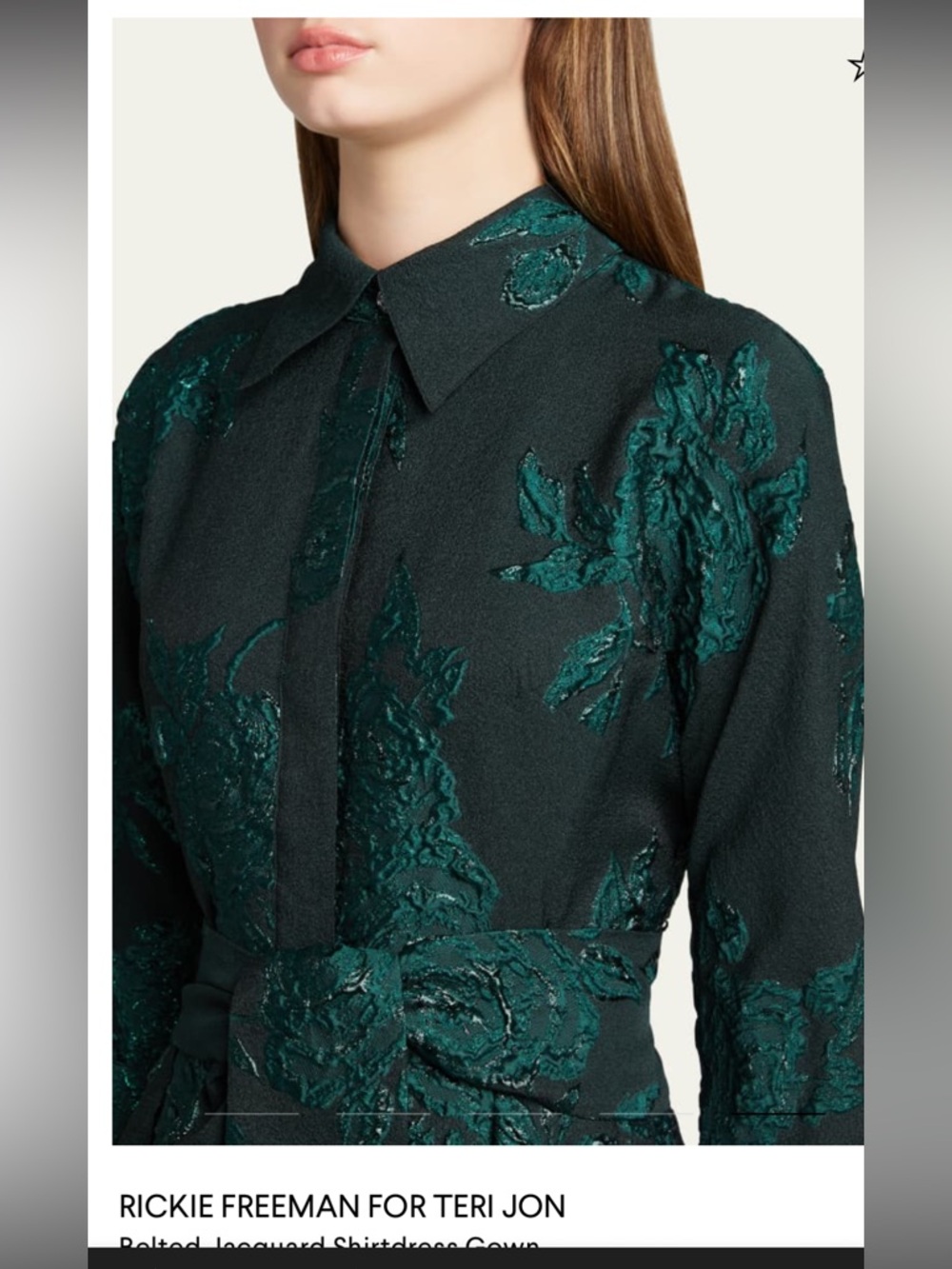 Nwt  Rickie Freeman for Teri Jon gown Sz 10 - Picture 3 of 6